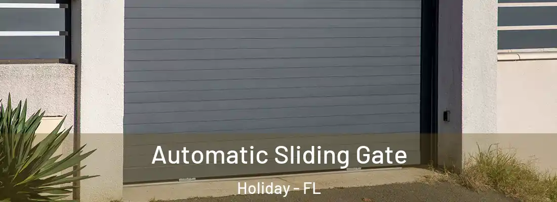 Automatic Sliding Gate Holiday - FL