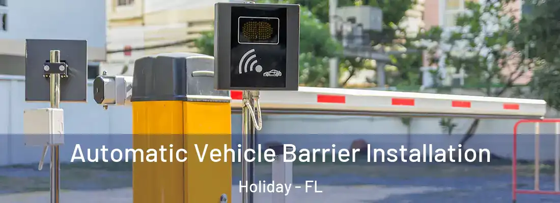 Automatic Vehicle Barrier Installation Holiday - FL