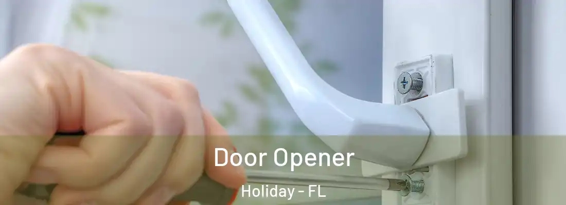  Door Opener Holiday - FL
