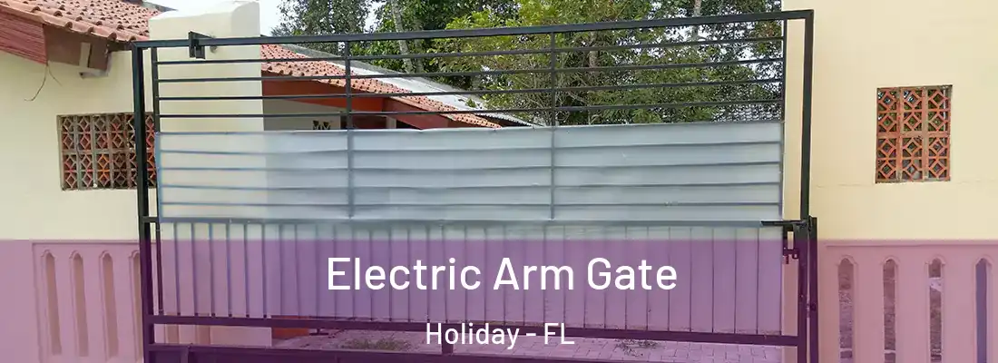 Electric Arm Gate Holiday - FL