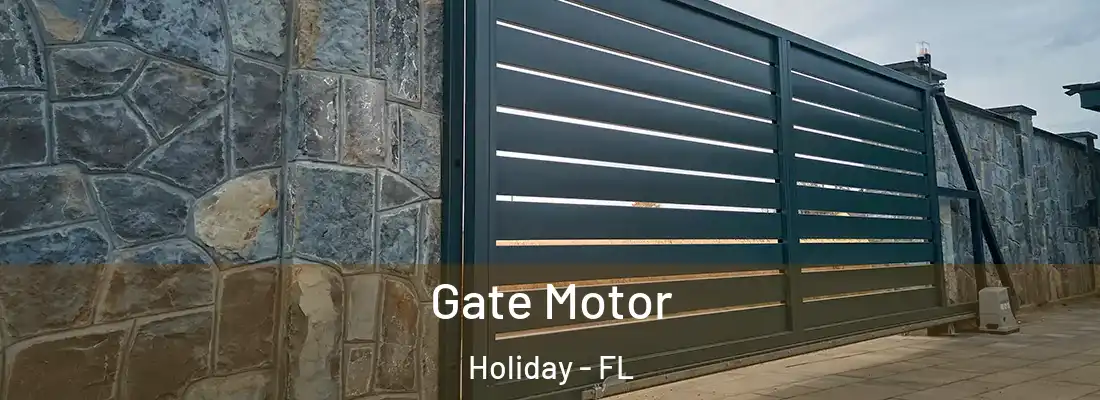  Gate Motor Holiday - FL