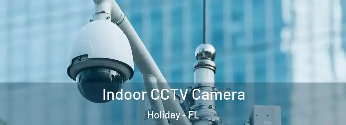 Indoor CCTV Camera Holiday - FL