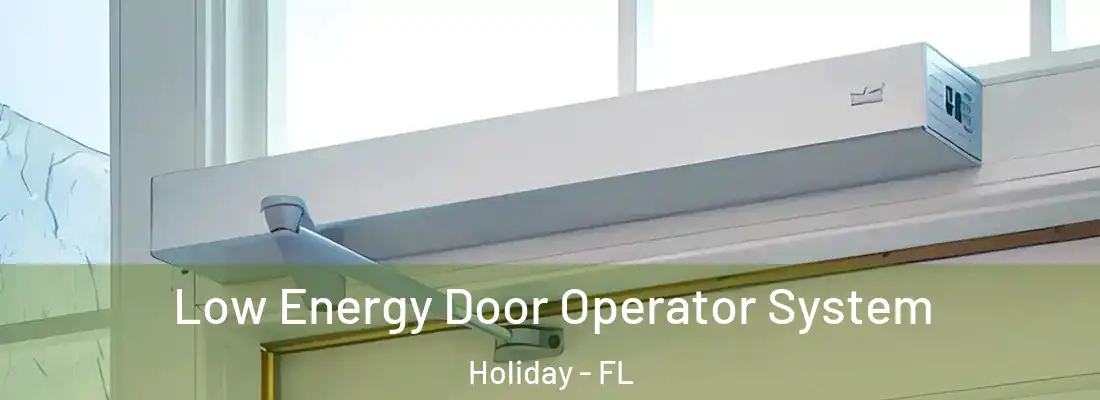 Low Energy Door Operator System Holiday - FL