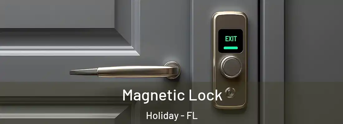  Magnetic Lock Holiday - FL