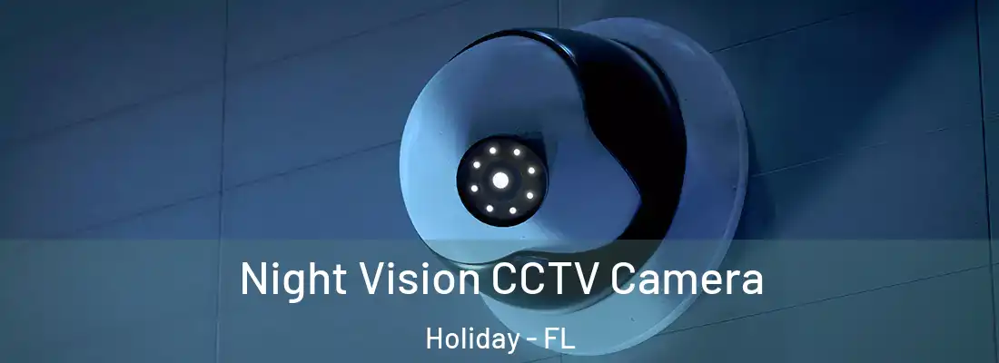 Night Vision CCTV Camera Holiday - FL